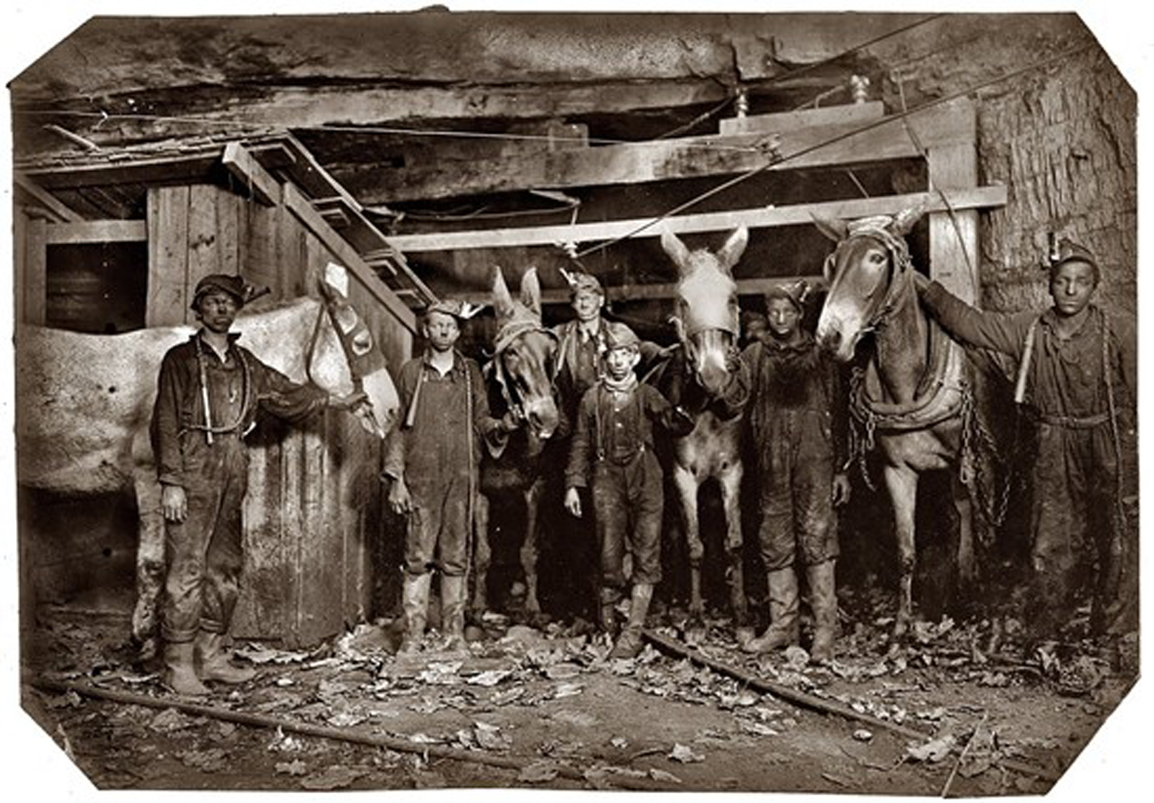 Click to enlarge, your browser arrow to return. This is at the Durham Buffalo Ranch.
