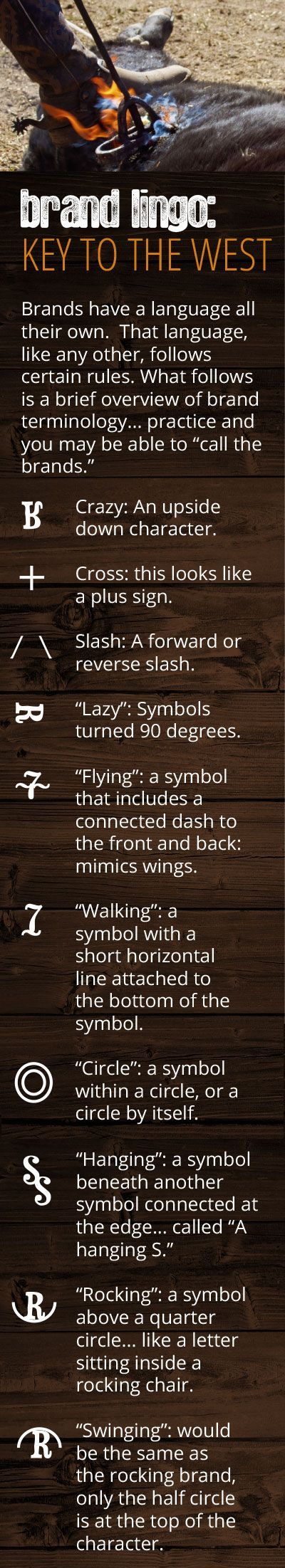 Click to enlarge, your browser arrow to return.
